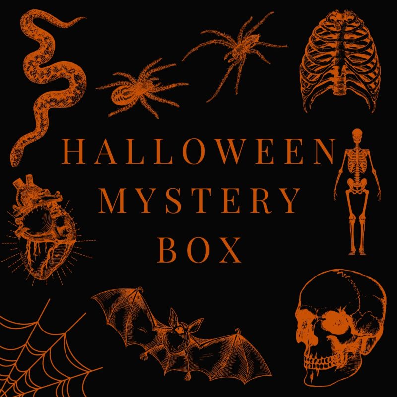 Halloween Mystery Box with orange text and spooky illustrations of skeletons, bats, and skulls.